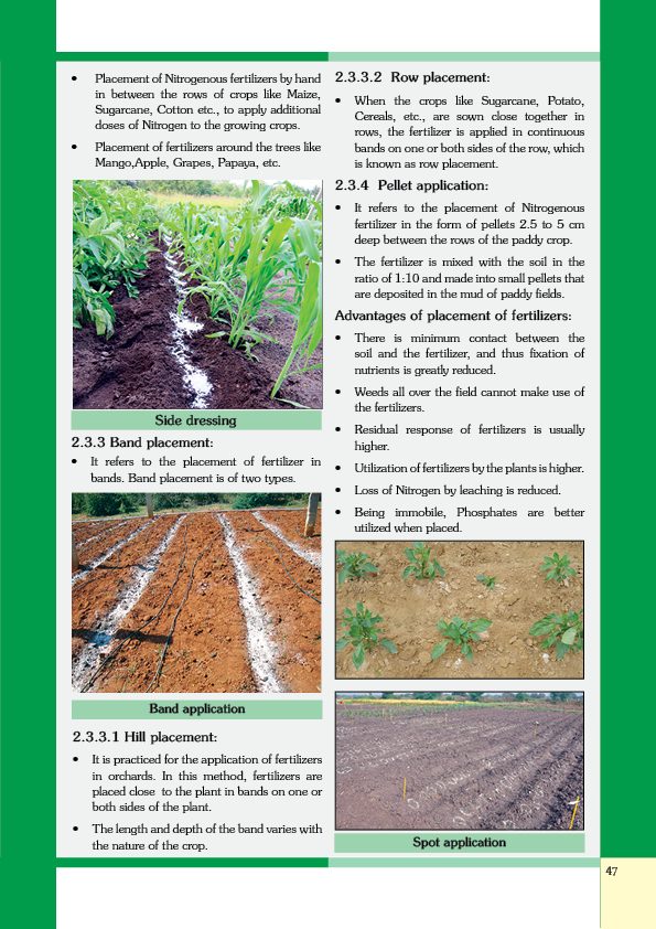 Soil FInal 08-05-202047